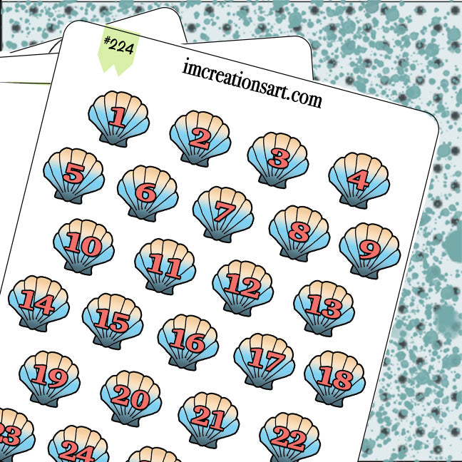 Date Covers Sea Shell