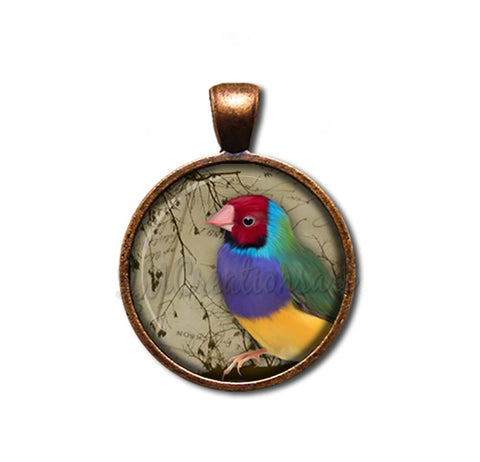 Colorful Perched Finch