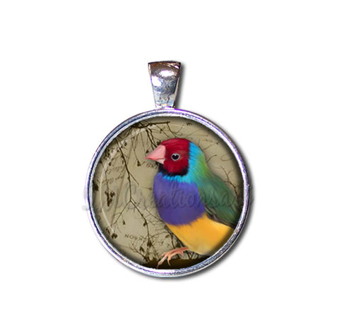 Colorful Perched Finch