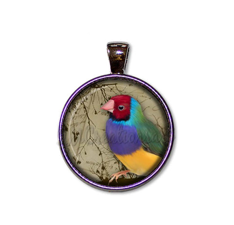 Colorful Perched Finch