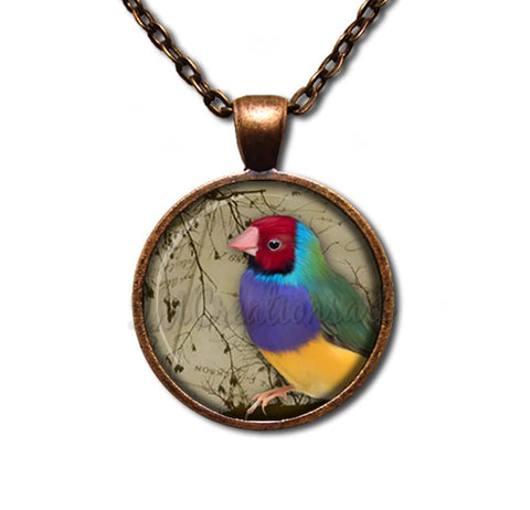 Colorful Perched Finch