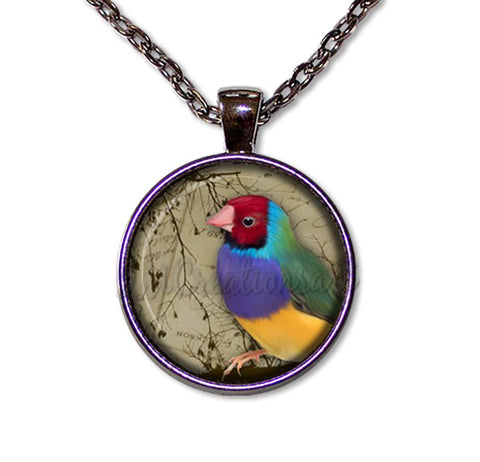 Colorful Perched Finch