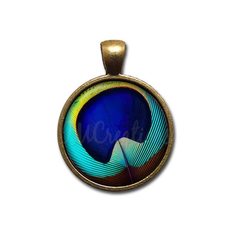 Brilliant Peacock Eye Feather