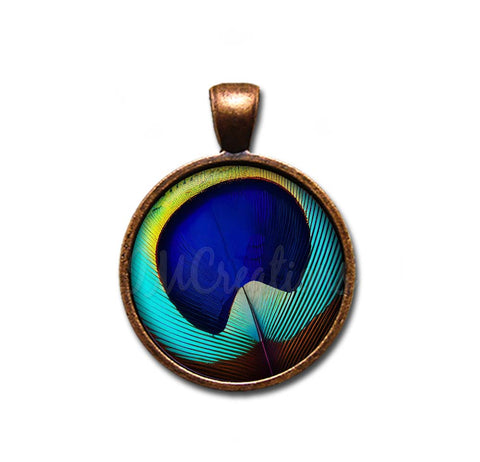 Brilliant Peacock Eye Feather