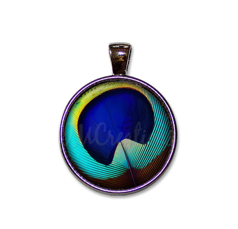 Brilliant Peacock Eye Feather