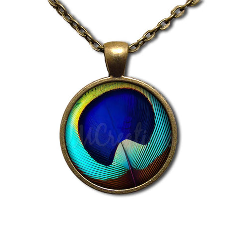 Brilliant Peacock Eye Feather