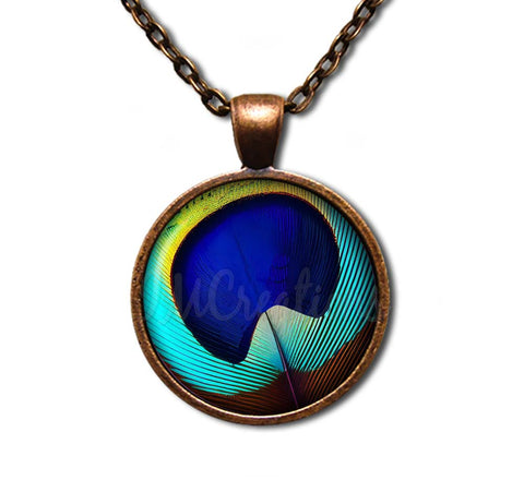 Brilliant Peacock Eye Feather