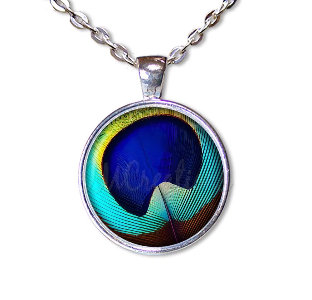 Brilliant Peacock Eye Feather