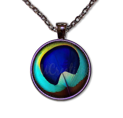 Brilliant Peacock Eye Feather