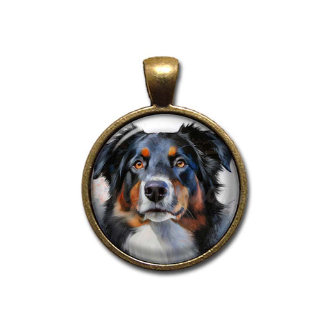 Australian Shepherd