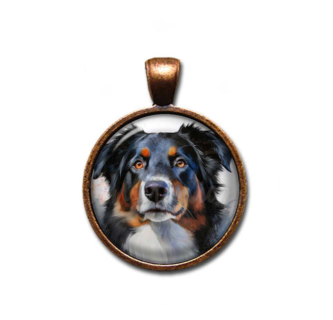 Australian Shepherd