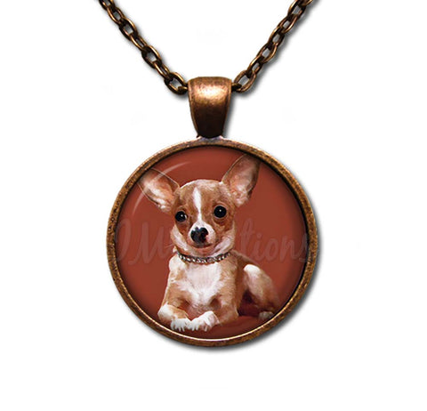 Chihuahua Sitting Dog Puppy