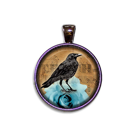 Black Raven on Blue Rose