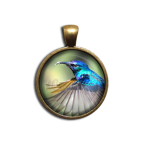 A Flying Hummingbird