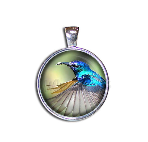 A Flying Hummingbird