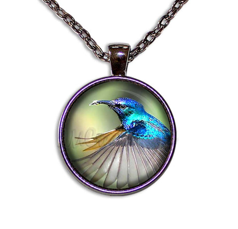 A Flying Hummingbird