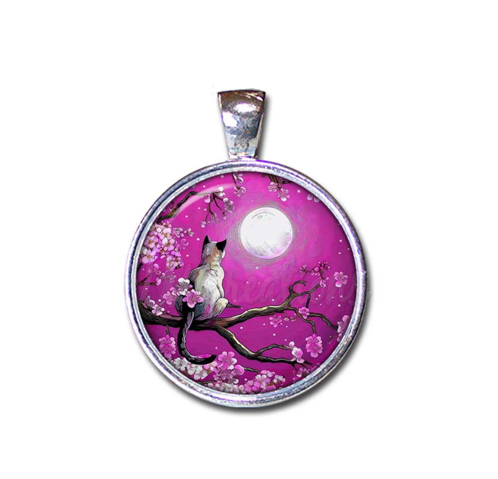 Cat and Cherry Blossoms