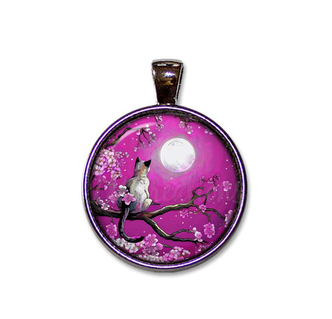 Cat and Cherry Blossoms