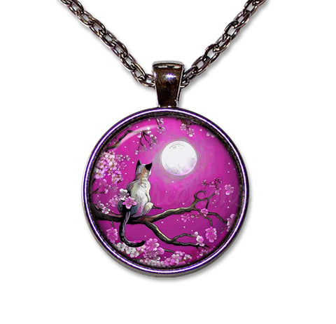 Cat and Cherry Blossoms