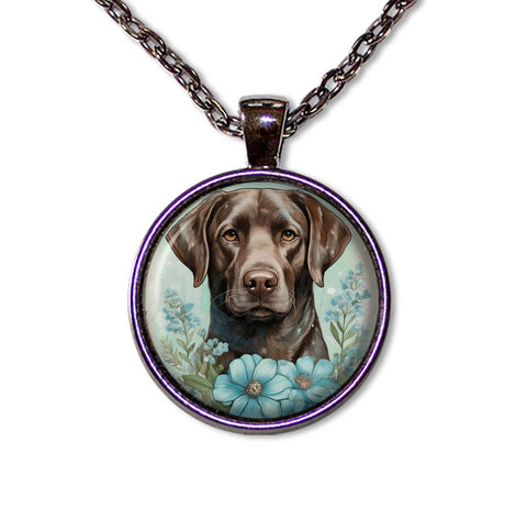 Cute Chocolate Labrador