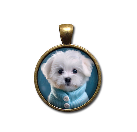 Adorable Maltese Puppy
