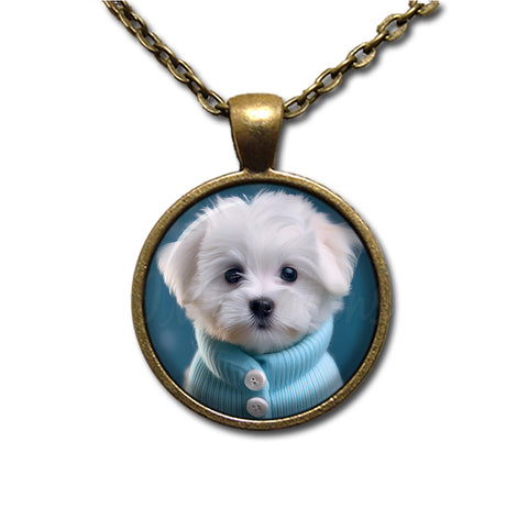 Adorable Maltese Puppy