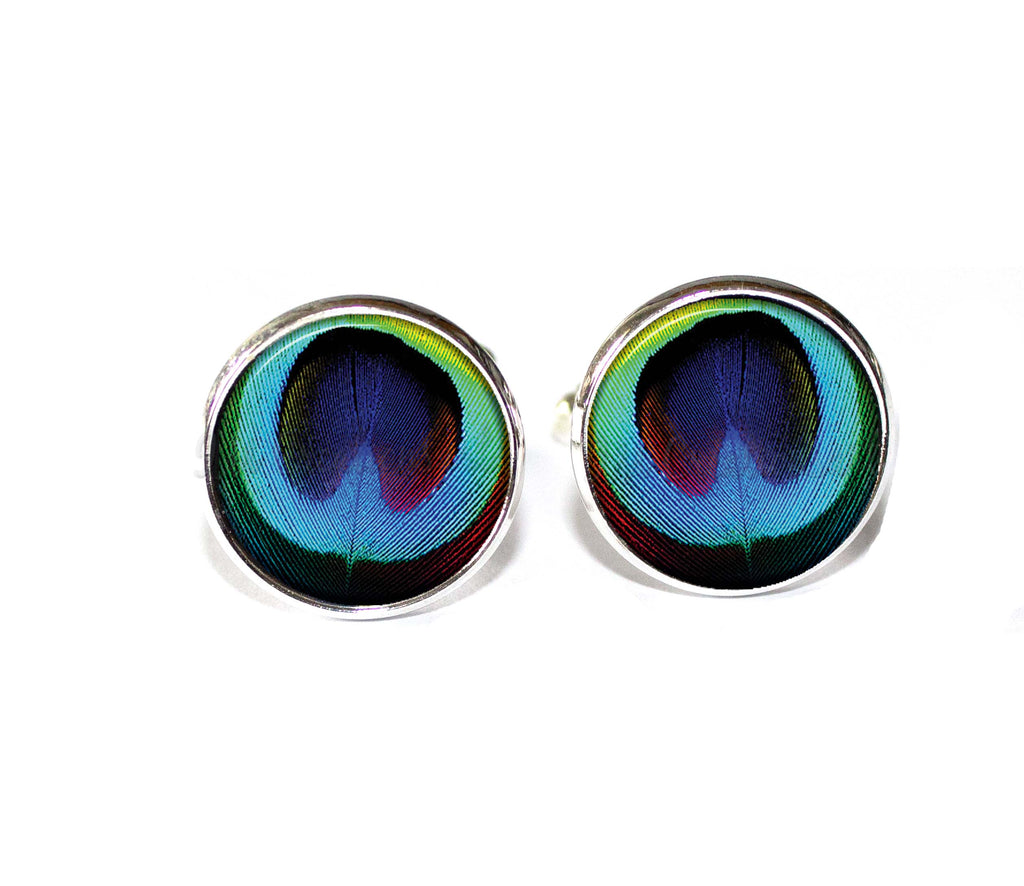 Bright Peacock Feather