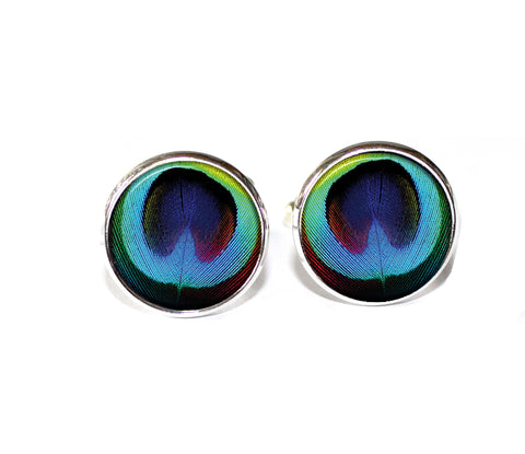 Bright Peacock Feather