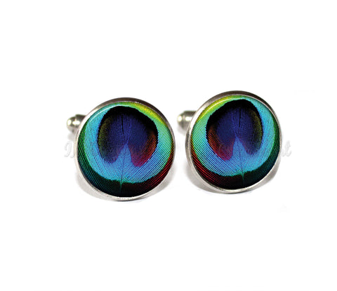 Bright Peacock Feather