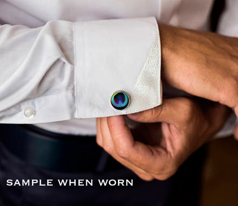 Bright Peacock Feather