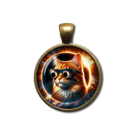 Total Solar Eclipse Tabby Cat