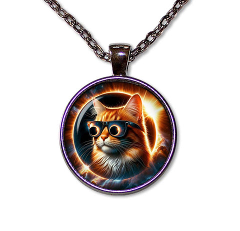 Total Solar Eclipse Tabby Cat