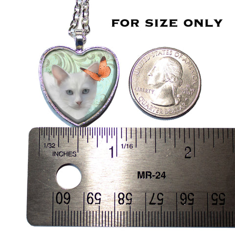 White Cat with Butterfly