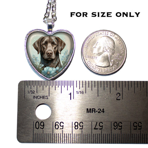 Sweet Chocolate Labrador