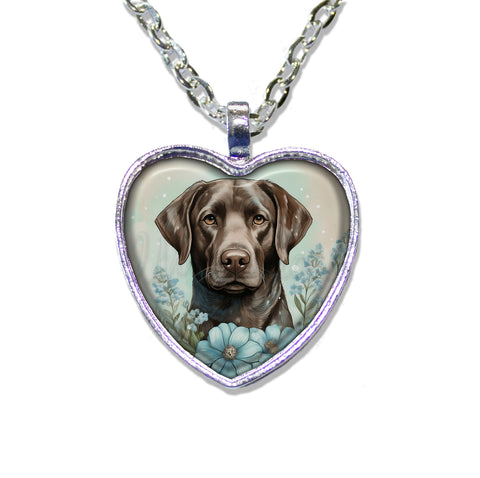 Sweet Chocolate Labrador