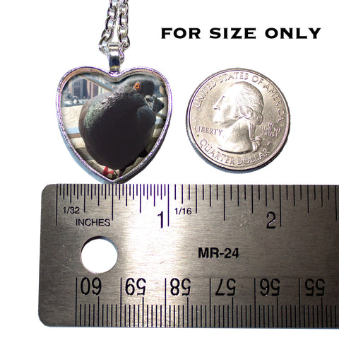 NYC Pigion Bird Lovers