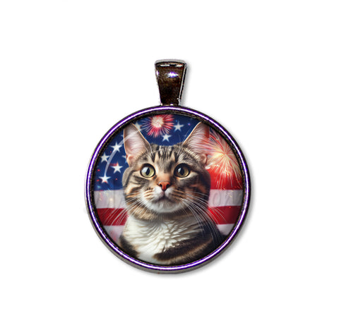 Patriotic Tabby Cat