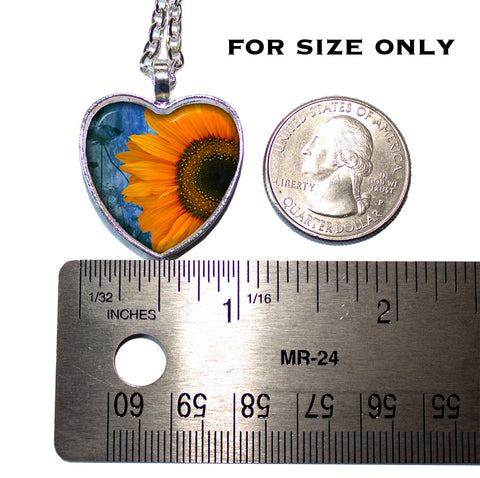 Sunflower at a Glance