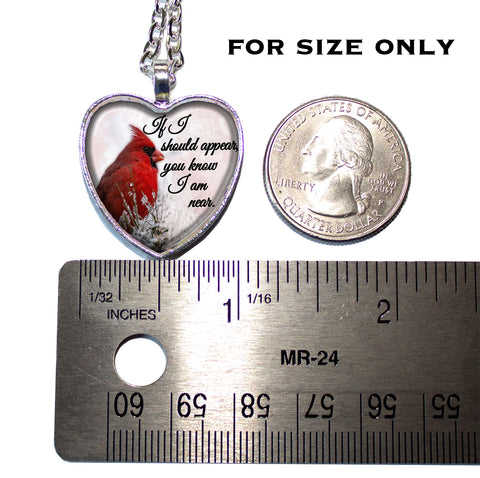 Cardinal If you Know I am Near