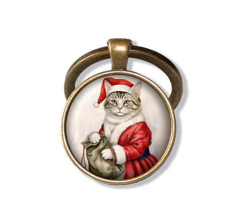 Santa Christmas Cat