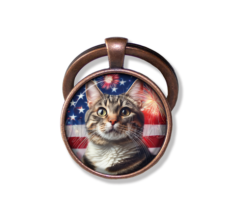 Patriotic Tabby Cat
