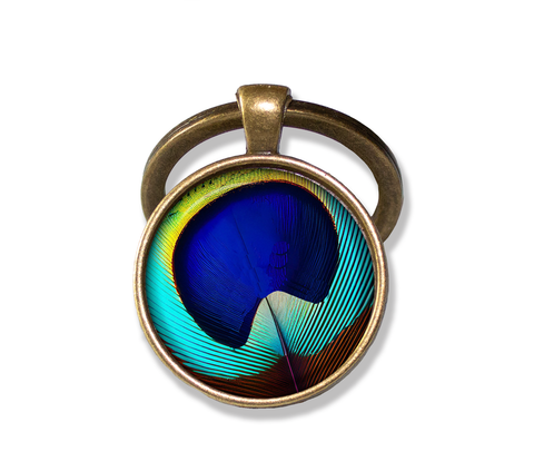 Brilliant Peacock Eye Feather