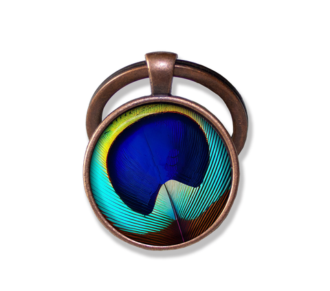 Brilliant Peacock Eye Feather