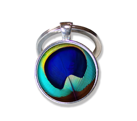 Brilliant Peacock Eye Feather