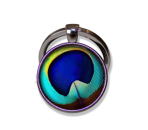 Brilliant Peacock Eye Feather