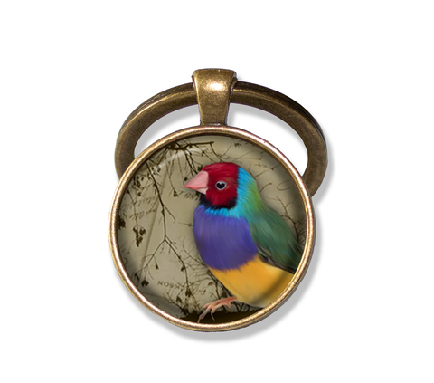 Colorful Perched Finch