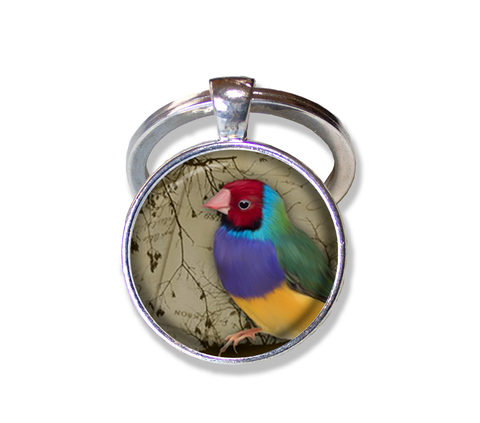 Colorful Perched Finch