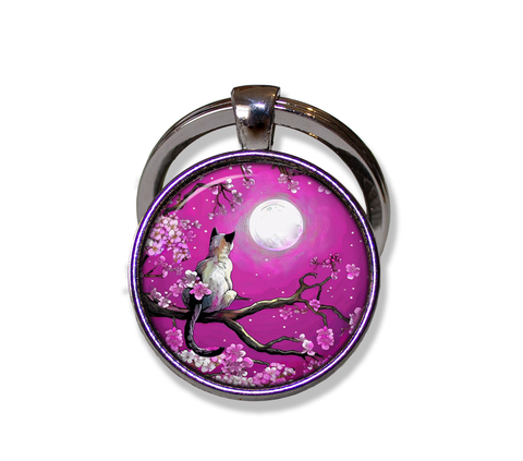 Cat and Cherry Blossoms