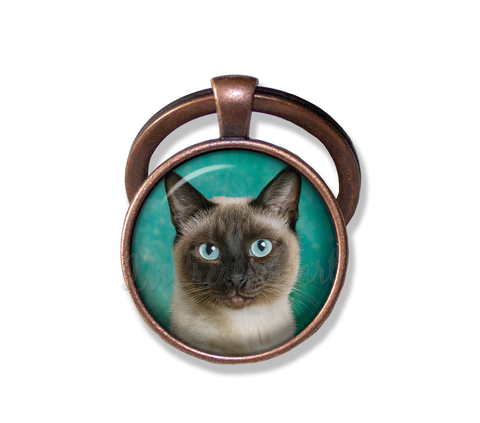 A Looker Siamese Cat