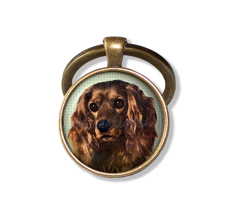 Sweet Cocker Spaniel